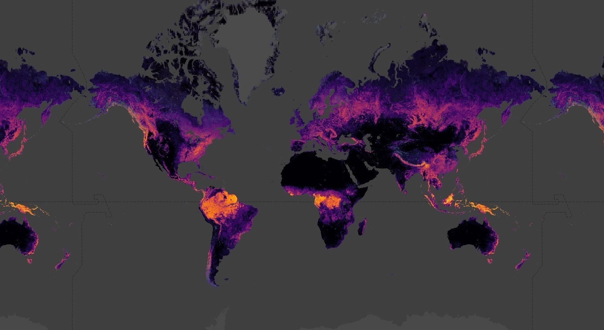 Researchers have developed the first high-resolution global vegetation height map for 2020 from satellite photos using an artificial neural network.