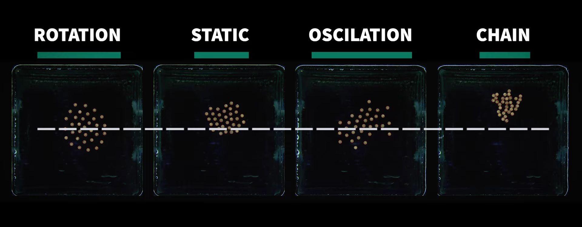 A team of researchers developed microrobot collectives that are able to move in any pattern. The tiny particles are capable of swiftly and effectively changing their swarm behavior.