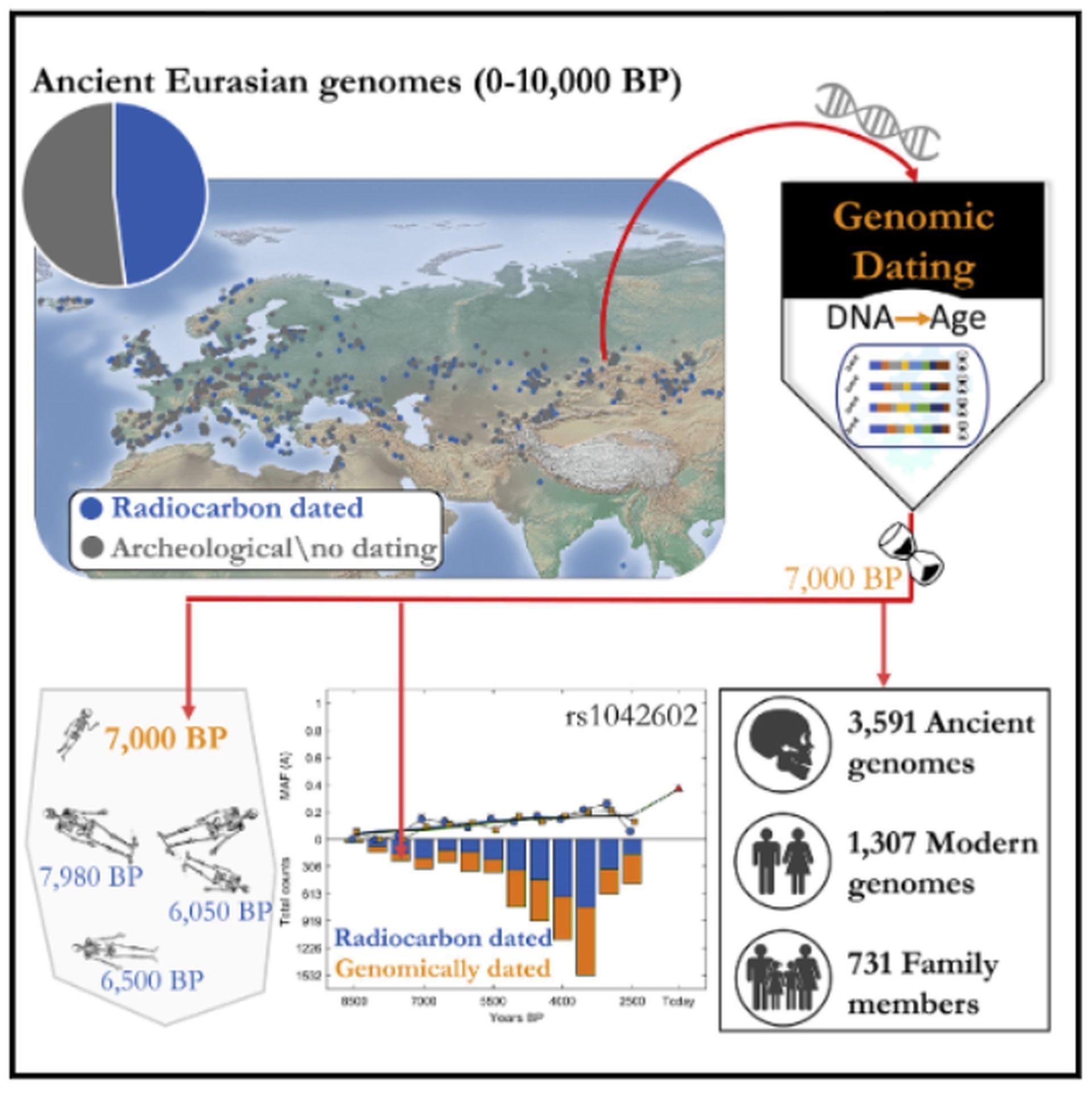 AI-supported Temporal Population Structure (TPS) technique sheds light on the history of human-being