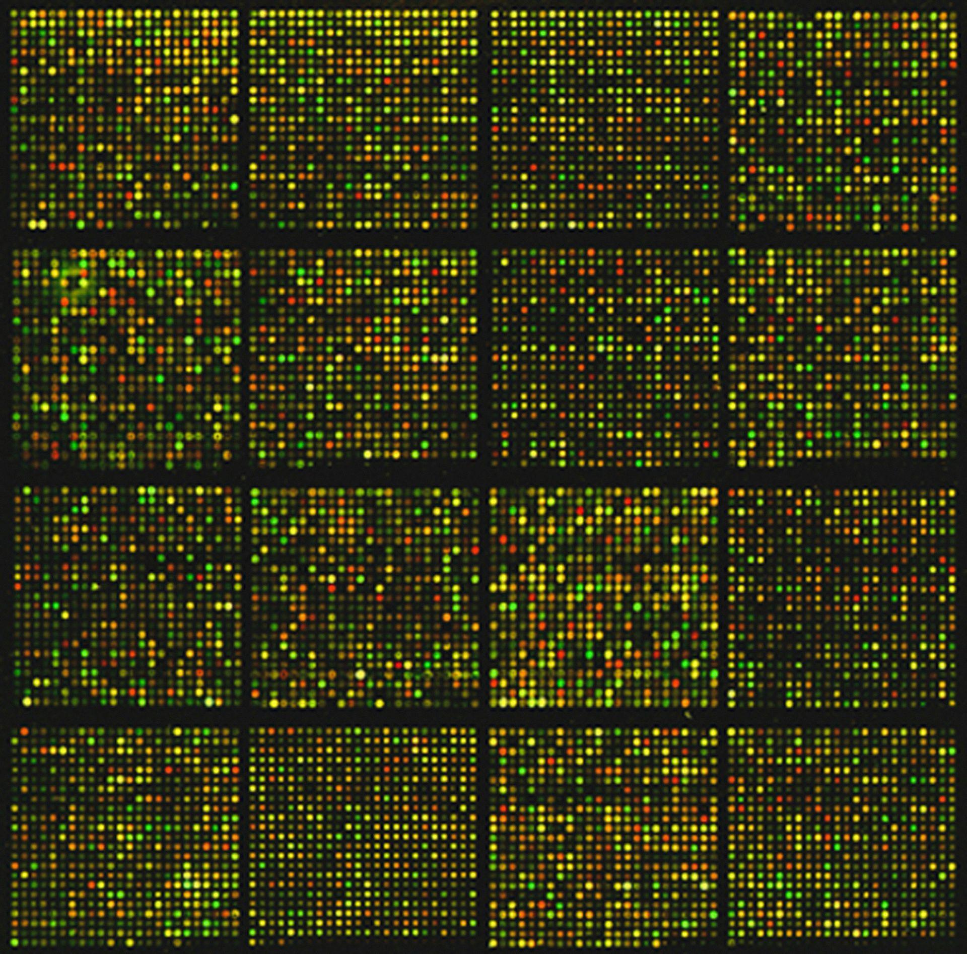 What is Genome India project? Explore how India mapping its DNA. They already decoded the genetic information of 10,000 healthy individuals!